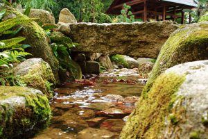 strumyk w ogrodzie japońskim